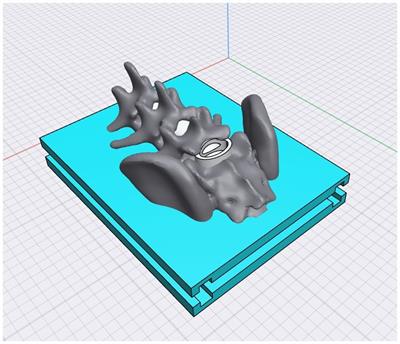 SimuVet: a preliminary study of the innovative development of a simulator for epidural anesthesia training in dogs